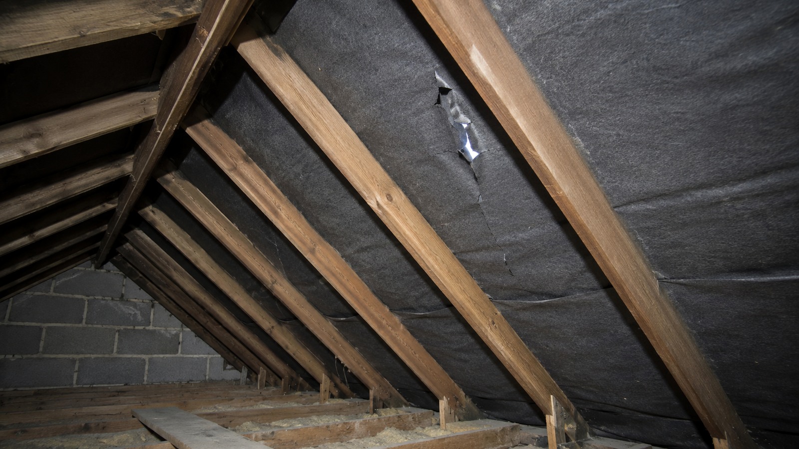 Roofing image for roof leak or loft condensation in blackpool?